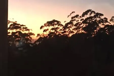 Holiday home White Jacaranda Tiny House By Tiny Away Villa Maleny